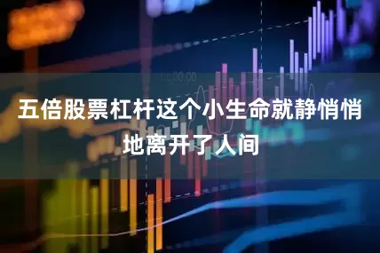 五倍股票杠杆这个小生命就静悄悄地离开了人间