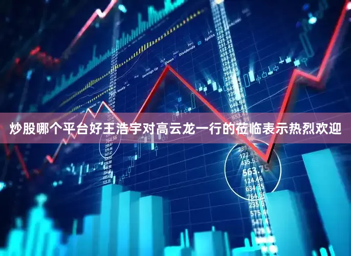 炒股哪个平台好王浩宇对高云龙一行的莅临表示热烈欢迎
