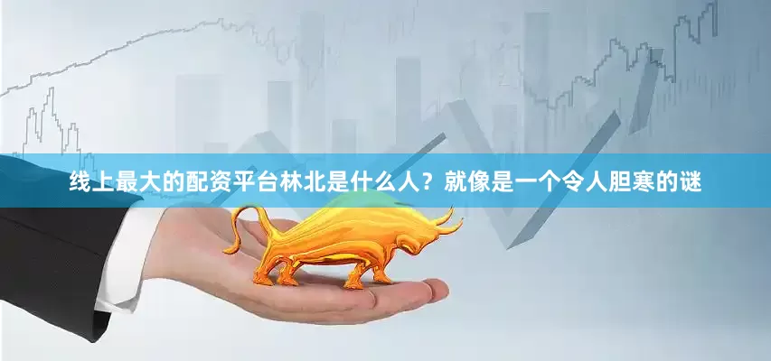 线上最大的配资平台林北是什么人？就像是一个令人胆寒的谜