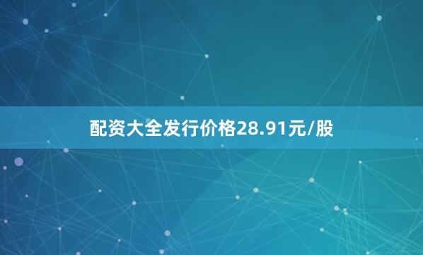 配资大全发行价格28.91元/股