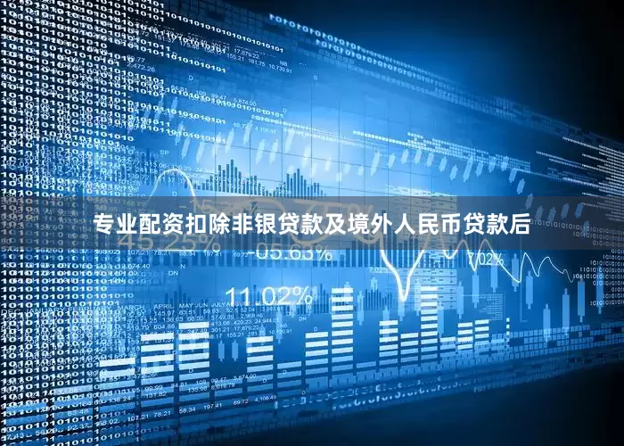 专业配资扣除非银贷款及境外人民币贷款后