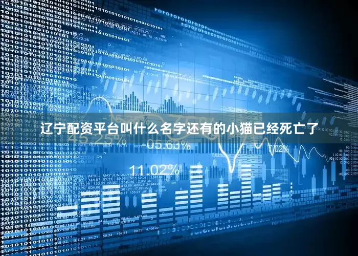 辽宁配资平台叫什么名字还有的小猫已经死亡了