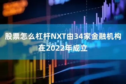 股票怎么杠杆NXT由34家金融机构在2022年成立