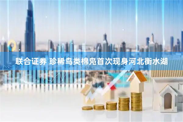 联合证券 珍稀鸟类棉凫首次现身河北衡水湖